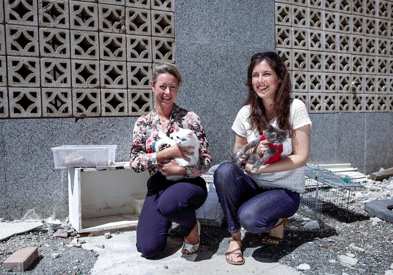 Abu Dhabi, United Arab Emirates, May 14, 2020.   Rachael Ryder (left) and a member of Mangrove Beach Cats group with rescued cats during the coronavirus pandemic.
Victor Besa / The National
Section:  NA
Reporter:  Gillian Duncan