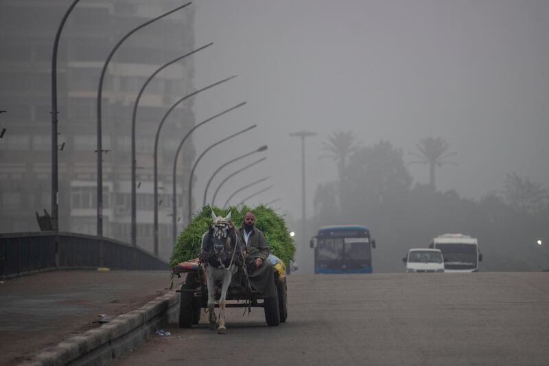 A man rides a horse-drawn cart along a road amid early morning mist in Cairo, Egypt. EPA