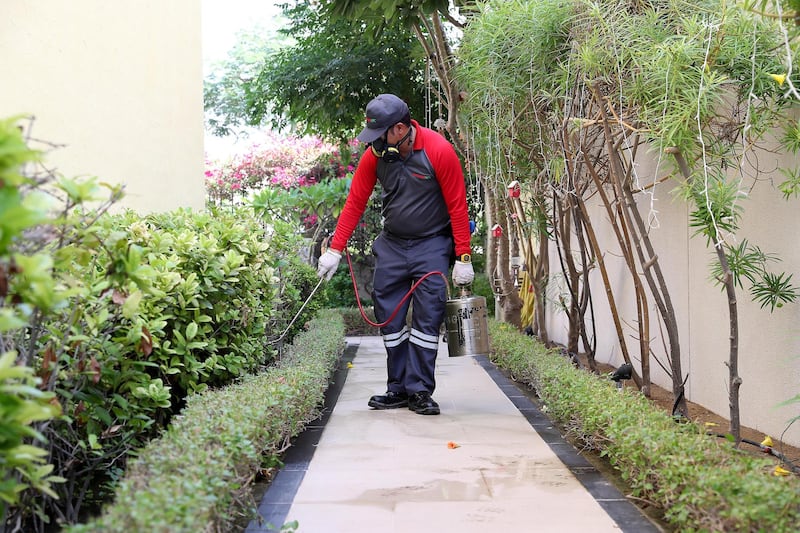 DUBAI, UNITED ARAB EMIRATES , November 10 – 2020 :- John Well, Technician with Rentokil Pest Control doing the pest control treatment for the crazy ants at the villa in Jumeirah Park in Dubai. (Pawan Singh / The National) For News/Online. Story by Kelly 