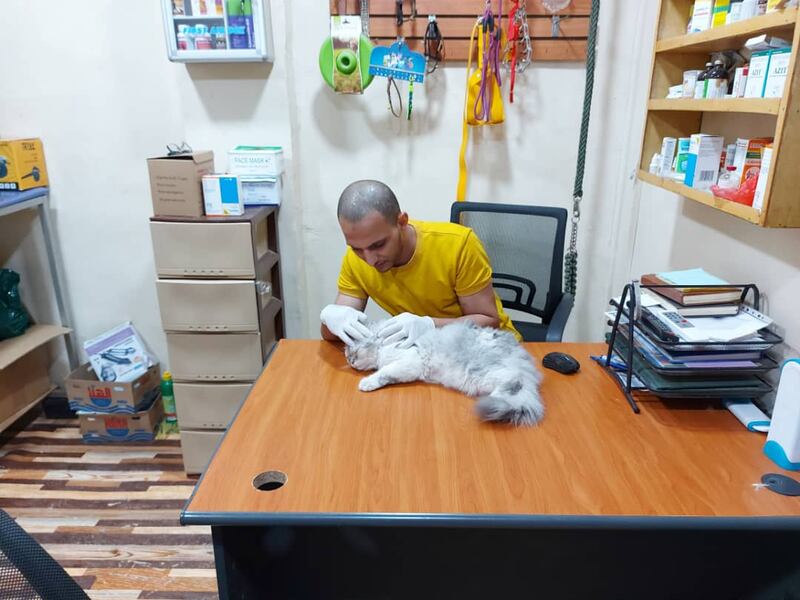 Galal Al-Amrawi, a member of a registered organisation that looked after animals in Aden, said it was forced to shut down after two years because of lack of financing. Photo: Galal Al-Amrawi