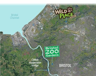 The animals from Bristol Zoo Gardens that meet the conservation criteria are moving to The Wild Place project eight kilometres away in south Gloucestershire, while others less endangered are given new homes elsewhere. 