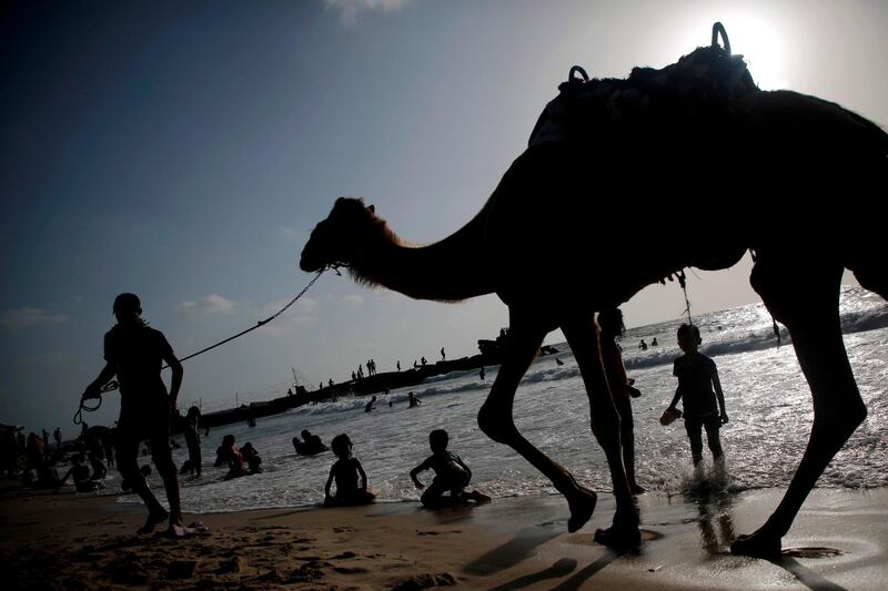 A Palestinian man walks his camel on the beach in Gaza City. AFP