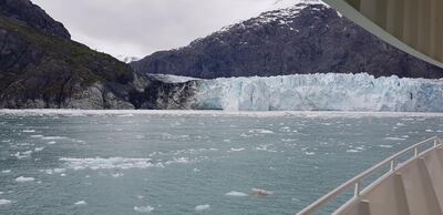 The Margorie Glacier in Glacier Bay National Park. 