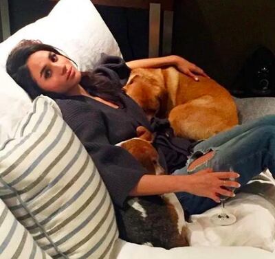 Meghan Markle at home in Toronto with her pet dogs. Instagram / The Tig