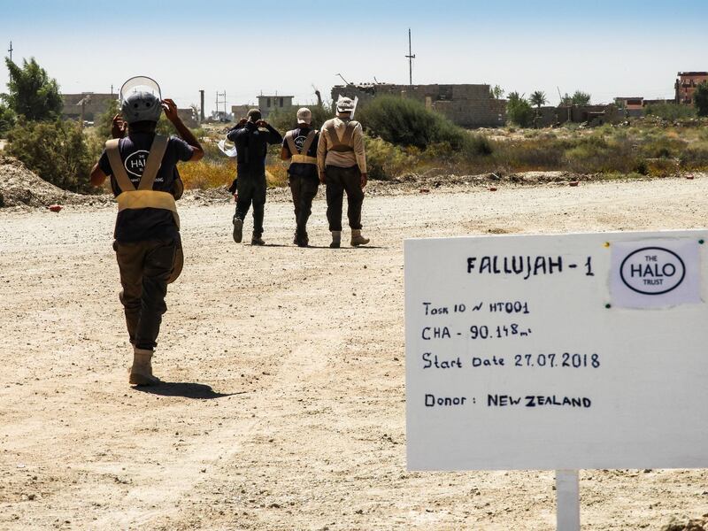 Halo deminers at work in Fallujah, where there is a minefield six miles long and about 200m deep. The Halo Trust