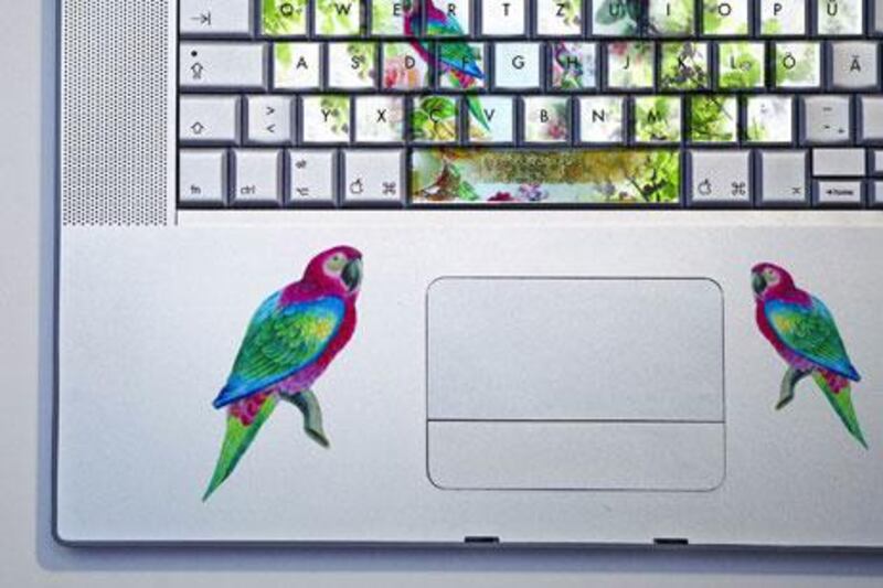 Laptop stickers such as Decosticker's Parrot Mac, £18 (Dh 107), might help deter grime, but keyboards still should be cleaned regularly and thoroughly.