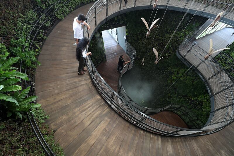 Singapore's pavilion features the Dipterocarp seed kinetic sculpture inside the structure's Rainforest Cone.