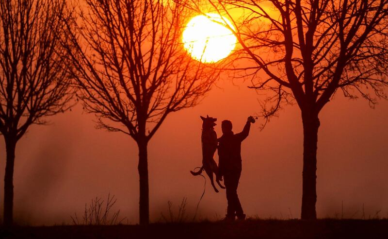 A man plays with his dog during sunrise in Uttenweiler-Offingen, Germany. AP Photo