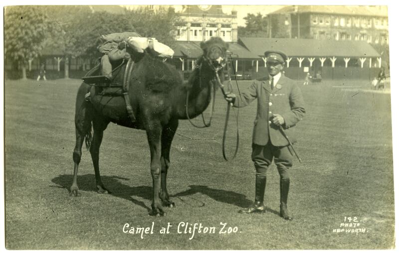 A zookeeper with a camel.