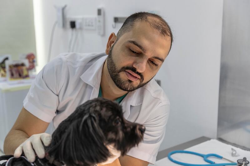 Dr Morgulle examining a dog in his clinic 
