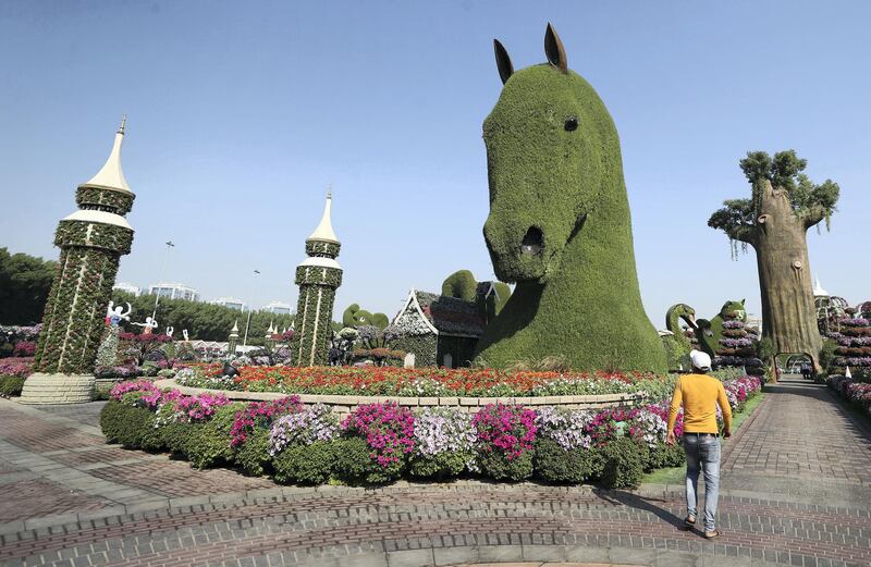 Dubai, United Arab Emirates - Reporter: N/A. Lifestyle. Opening of the new season at the Dubai Miracle Garden. Sunday, November 1st, 2020. Dubai. Chris Whiteoak / The National