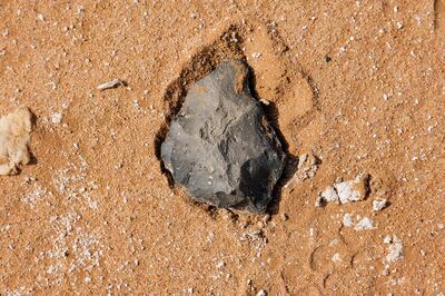 The team discovered various artefacts including a haul of stone axe heads