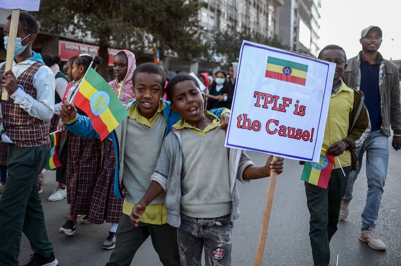 Ethiopians protest at a rally organised by the city administration against what they say is interference by outsiders in the country's internal affairs and against the Tigray People's Liberation Front, the party of Tigray's fugitive leaders, in Ethiopia's capital Addis Ababa. AP Photo