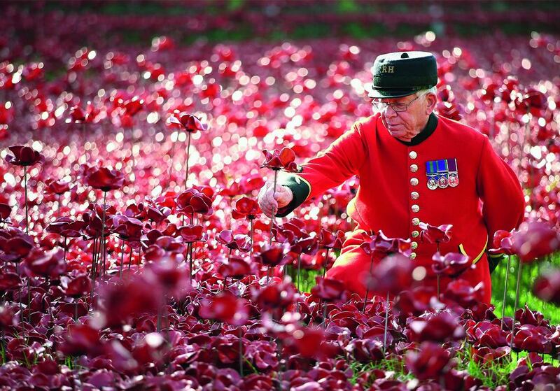 Chelsea Pensioner Albert Willis plants a poppy at the Blood Swept Lands and Seas of Red evolving art installation at the Tower of London on October 9 in London. 888,246 poppies were planted in the moat by volunteers. Each poppy represents a British or Colonial fatality in the First World War. The poppies are for sale with 10 per cent plus all net proceeds going to six service charities.  Chris Jackson / Getty Images