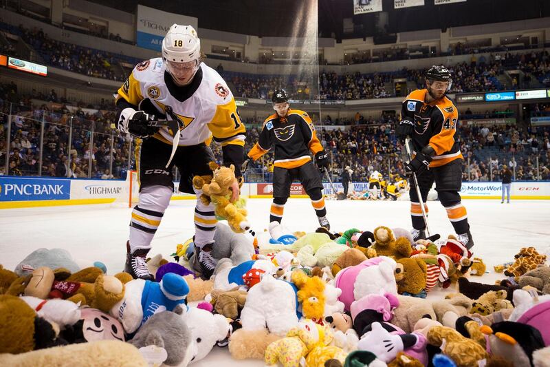 The Wilkes-Barre/Scranton Penguins' Sam Lafferty cleans up teddy bears thrown on the ice after the annual Tobyhanna Army Depot Teddy Bear Toss in Pennsylvania. AP Photo