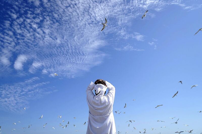 SHARJAH , UNITED ARAB EMIRATES , NOV 22   – 2017 :- Sultan Rashid , fisherman and owner waiting to see the fresh catch after fishing near the corniche area at Kalba in Sharjah. Sultan Rashid is from Kalba and doing fishing for the last 30 years.  (Pawan Singh / The National) For Big Picture