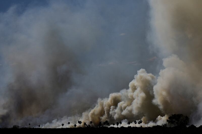 Smoke rises in Pantanal, after a fire in the world's largest wetland, in Corumba, Brazil. Reuters