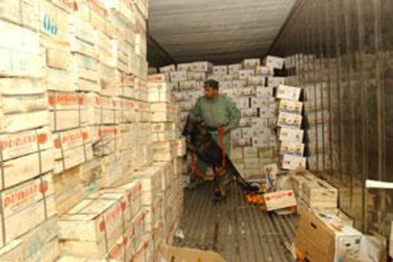 Dubai police are actively searching for drugs, here at a vegetable market in Al Awair Souq.