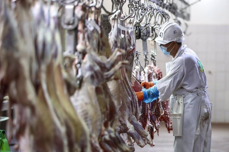 Abu Dhabi, United Arab Emirates, July 29, 2020.   
A butcher arranges fully cleaned goats to be later be partitioned by customer specifications at the Abu Dhabi Public Slaughter House  on Al Meena Street. 
Victor Besa  / The National
Section: NA
Reporter:  Haneen Dajani