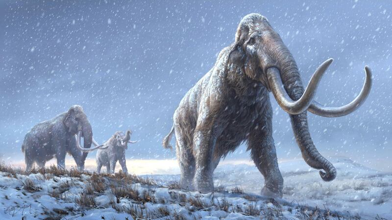 An international team has recovered DNA from a mammoth dating back 1.2 million years. Springer Nature 