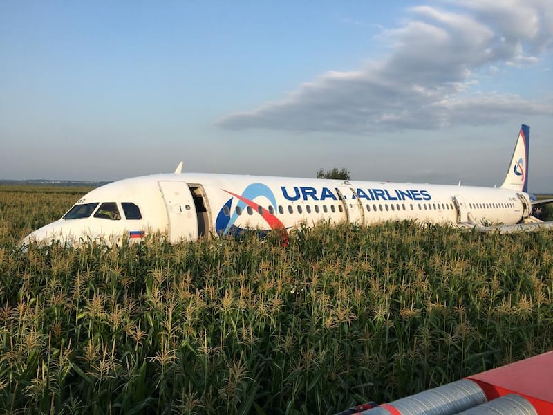 Ural Airlines Airbus 321 passenger plane following an emergency landing in a field near Zhukovsky International Airport in Moscow Region. Reuters