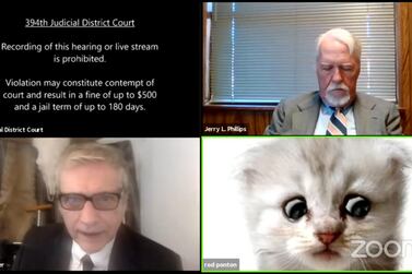 Lawyer Rod Ponton appears with a kitten filter turned on during a virtual hearing of the 394th District Court of Texas on February 9. Reuters