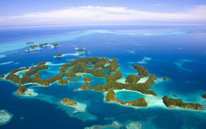 Palau has more species of marine life than any other area of similar size in the world and also the highest concentration of marine lakes – unique biospheres that have been separated from the ocean by land barriers and continue to yield discoveries of new species. Photo: Charly W Karl / Flickr