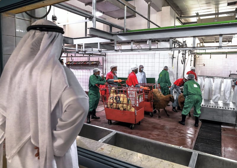 Abu Dhabi, U.A.E., August 22 , 2018.  Livestock shoppers for the second day of Eid Al Adha at the Abu Dhabi Livestock Market and the Abu Dhabi Public Slaughter House (Abu Dhabi Municipality) at the  Mina area.-- Customers waiting for their purchased livestock to be properly processed by slaughter house workers.
Victor Besa/The National
Section:  NA
For:  stand alone and stock images