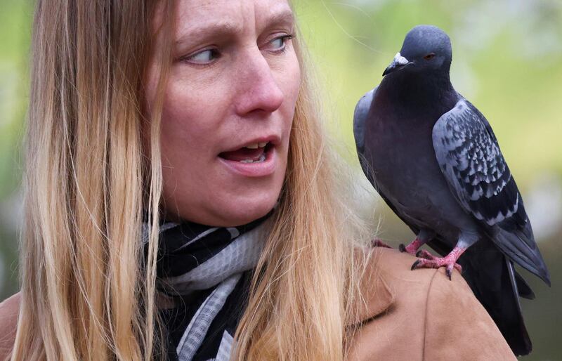 A pigeon sits on the shoulder of a woman in St. James' Park, London. Reuters