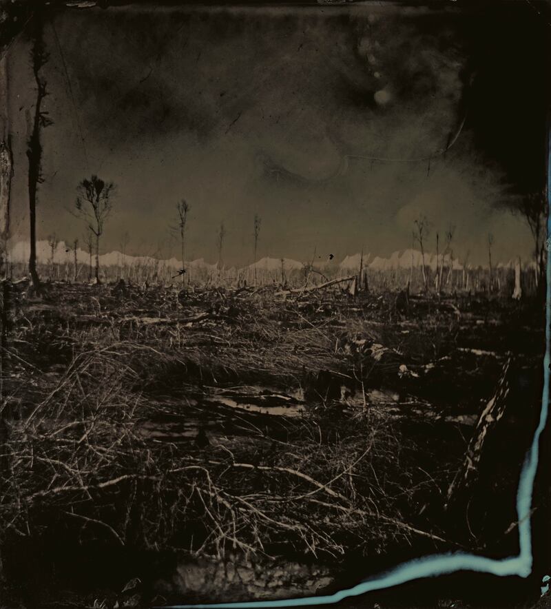 'Blackwater 3', by Sally Mann, winner of the Prix Pictet Fire, from her series 'Blackwater'. Photo: Sally Mann / Prix Pictet