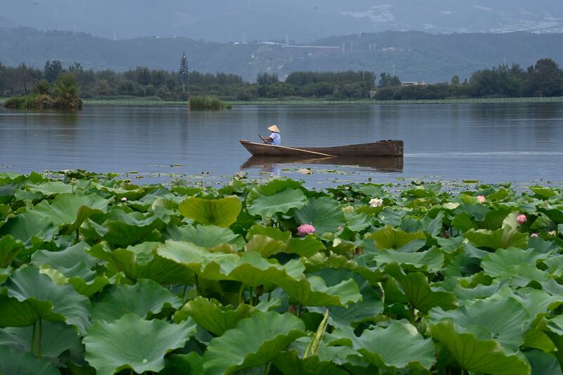A lotus lake in Qionghai National Tourism Resort in Xichang, in China’s south-western Sichuan province. AFP