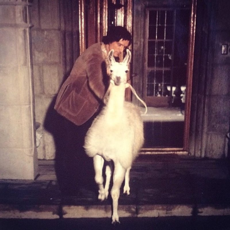 Hugh Hefner: As befitting his somewhat unorthodox lifestyle, the late Hugh Hefner opted for a llama to keep as a pet in the grounds of the Playboy Mansion. Instagram