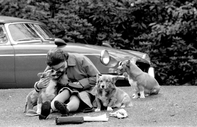 The queen and her corgis at Virginia Water, where competitors, including Prince Philip, completed the Marathon of the European Driving Championship in 1973. PA