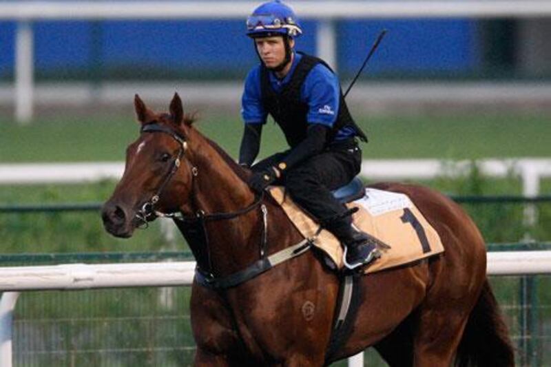 Sepoy gets a workout at Meydan Racecourse