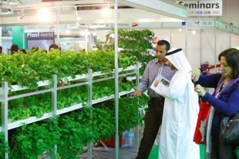 April 02, Show visitors look at the Agritech Agricultural Development Co's layered hydro growth display at the 2012 AGRAME exhibition held at the DWTC. April 02. Dubai, United Arab Emirates. (Photo: Antonie Robertson/The National)2