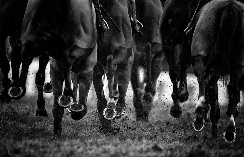 A detailed view of horse shoes as runners make their way around the racecourse in Exeter, south-west England. Getty Images