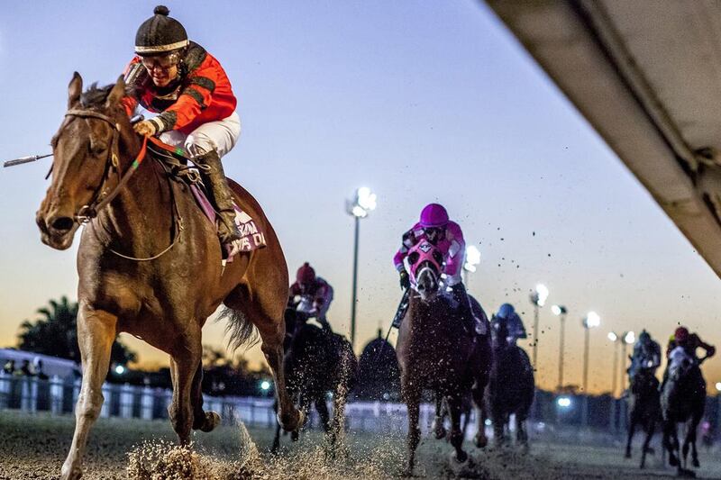 In this image provided by Hodges Photography, Wheatfield, with Diego Saenz aboard, captures the 11th running of the LA Champions Day Ladies Sprint horse race at Fair Grounds Race Course in New Orleans. Amanda Hodges Weir / Hodges Photography via AP