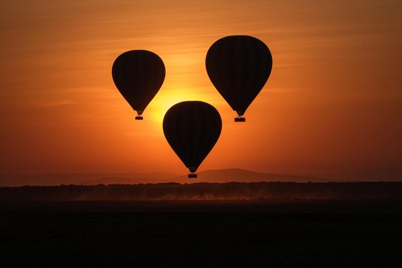 Hot-air balloons fly up with tourists at sunrise in the Masai Mara game reserve in Kenya.  AFP