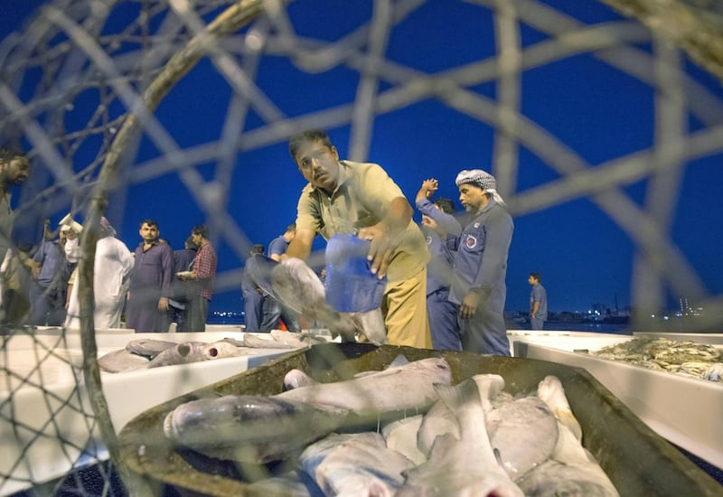AJMAN, UNITED ARAB EMIRATES - This man took the fish won in an auction in Ajman Fish Market.  Leslie Pableo for The National