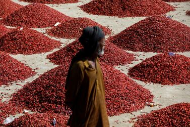 A man stands in front of mounds of red chili pepper, at the Mirch Mandi wholesale market, in Kunri, Umerkot, Pakistan, October 15, 2022. "Last year, at this time, there used to be around 8,000 to 10,000 bags of chillies in the market," said trader Raja Daim. "This year, now you can see that there are barely 2,000 bags here, and it is the first day of the week. By tomorrow, and the day after, it will become even less." REUTERS/Akhtar Soomro  SEARCH "SOOMRO CHILI" FOR THIS STORY. SEARCH "WIDER IMAGE" FOR ALL STORIES.       TPX IMAGES OF THE DAY