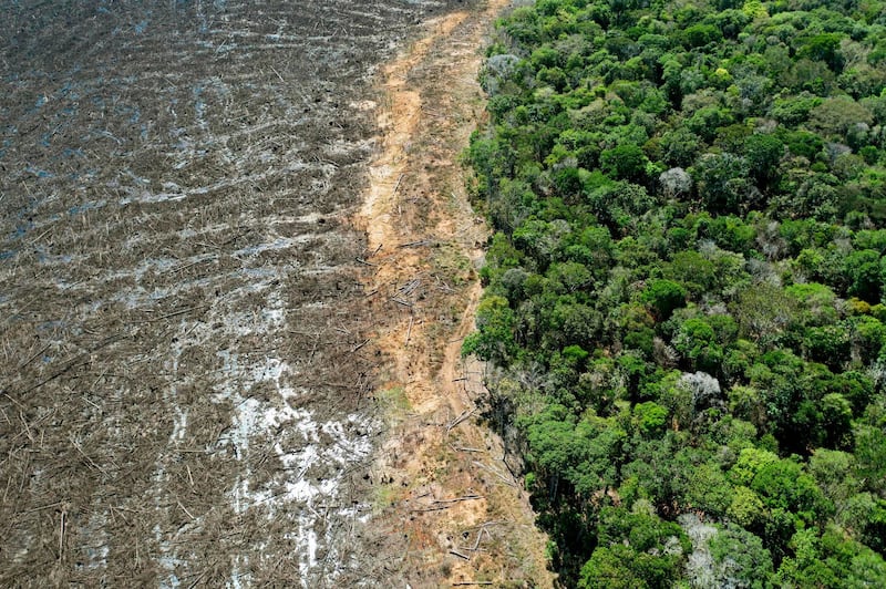 A deforested area close to Sinop, Mato Grosso state, Brazil. The number of bushfires raging in Brazil's Amazon increased 61 per cent in September last year, compared to the same period in 2019. AFP
