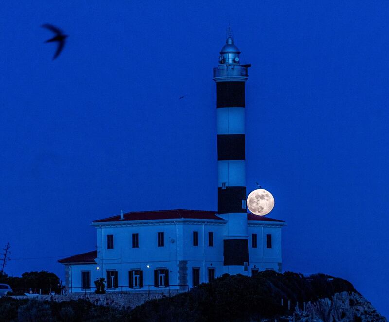 A gull flies while the full moon shimmers as it rises over a lighthouse in the early night sky over Mallorca, Spain. EPA