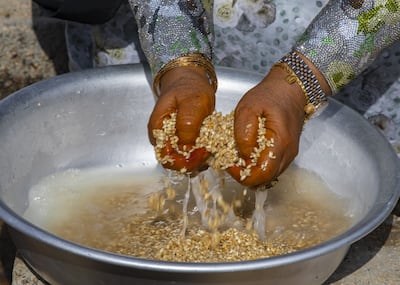 Harees is going to be a highlight dish at the 2024 Al Hosn Festival. Photo: Mina Adly Bekhit Gendi / Unesco