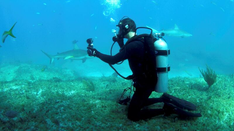 Bear Grylls underwater filming with GoPro in Bear vs Shark (Shark Week). Courtesy Discovery