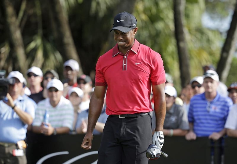 Tiger Woods had surgery on Monday in Utah for a pinched nerve in his back that had been hurting him for several months. Lynne Sladky / AP Photo

