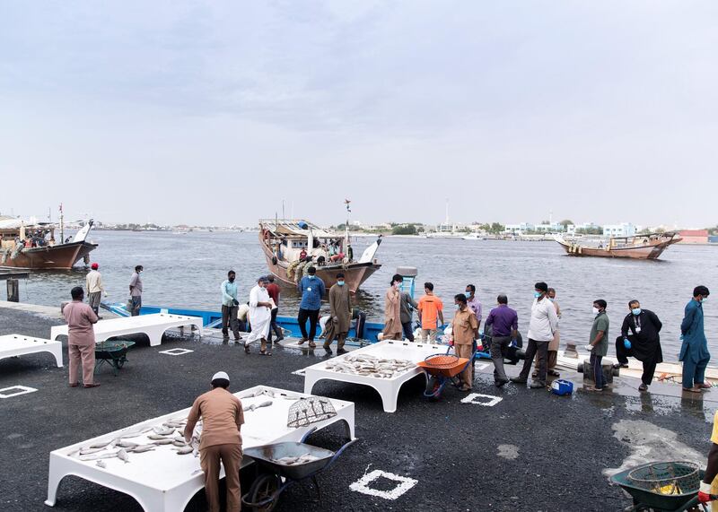 AJMAN, UNITED ARAB EMIRATES. 12 APRIL 2020. 
Ajman Fish Market’s auction.
(Photo: Reem Mohammed/The National)

Reporter:
Section: