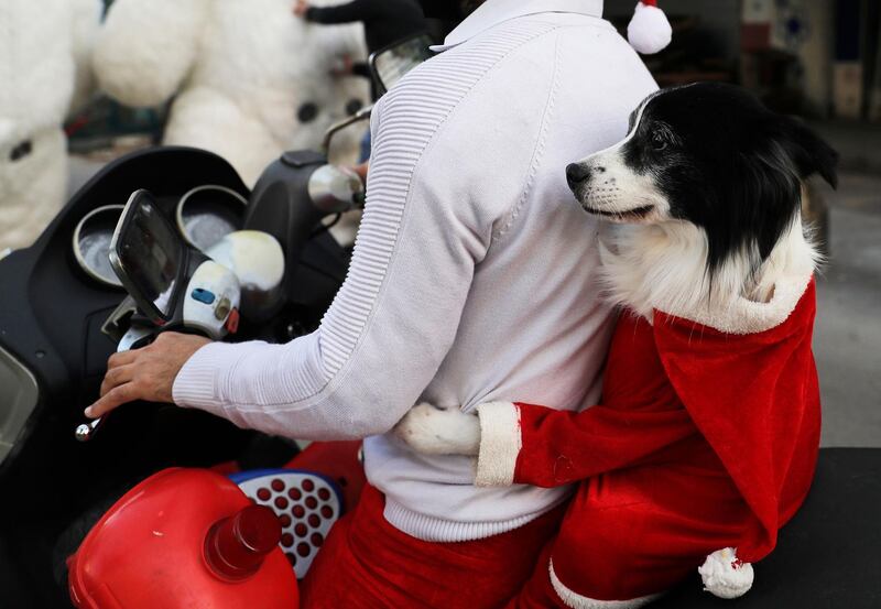 A dog as Santa rides with his owner during a parade ahead of Christmas on December 11, along Gouraud street in the capital Beirut's Gemmayzeh neighbourhood. AFP
