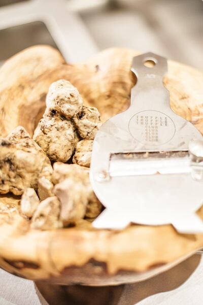 Italian white truffle. S. Spadoni