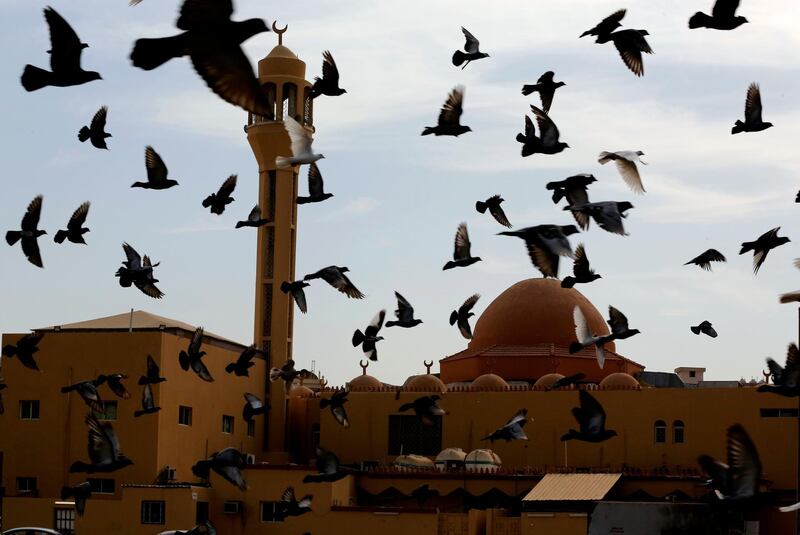 Pigeons fly over the al-Merah mosque in Jeddah, Saudi Arabia. President Donald Trump declared Monday it "looks" like Iran was behind the explosive attack on Saudi Arabian oil facilities. AP Photo
