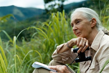 When Jane Goodall mentioned population sizes, the underlying assumption was that different sections of the world’s population are similarly responsible for the climate crisis. Courtesy Emirates Literature Foundation